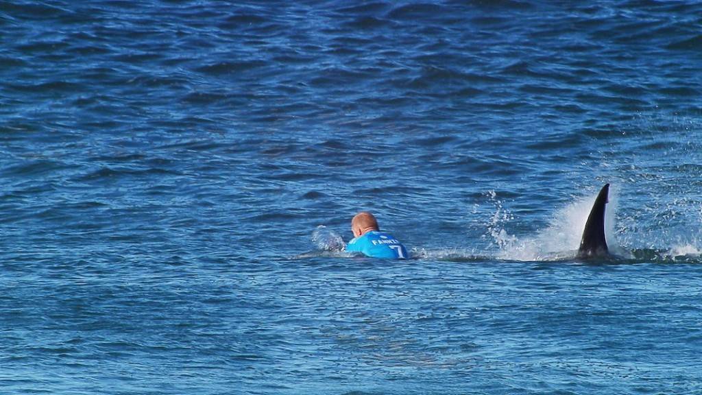 Mick Fanning atacado por tubarões na World Surf League