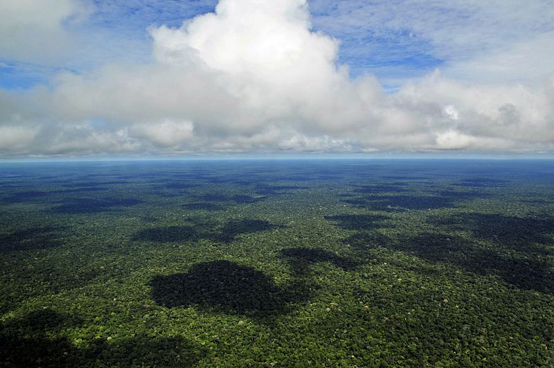 Fotografia aérea de uma pequena parte da Amazônia brasileira próxima à Manaus