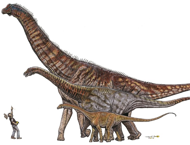 O titanossauro Austroposeidon magnificus tinha 25 metros de comprimento