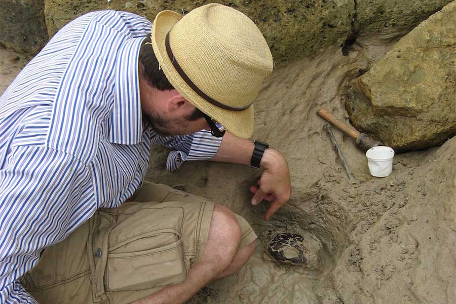 Fóssil de tartaruga marinha que sobreviveu ao asteróide que extinguiu os dinossauros encontrada em Cabinda, Angola