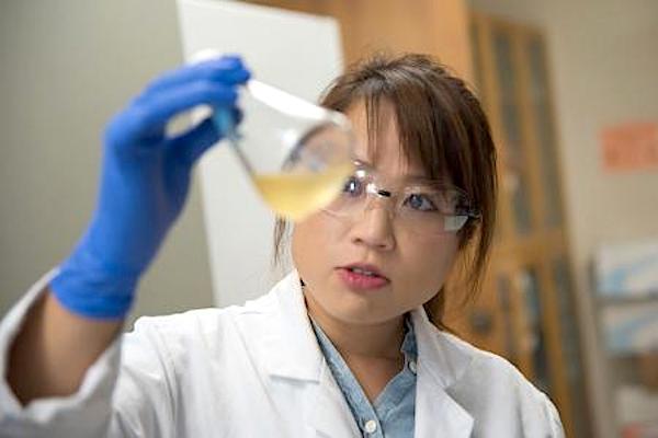 Jennifer Kan, pesquisadora de Engenharia Química da Caltech