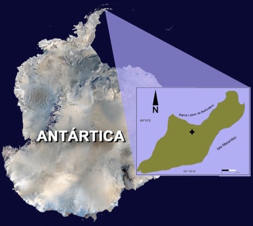 O Kaikaifilu foi encontrado em rochas do Cretácio no norte da Antártida