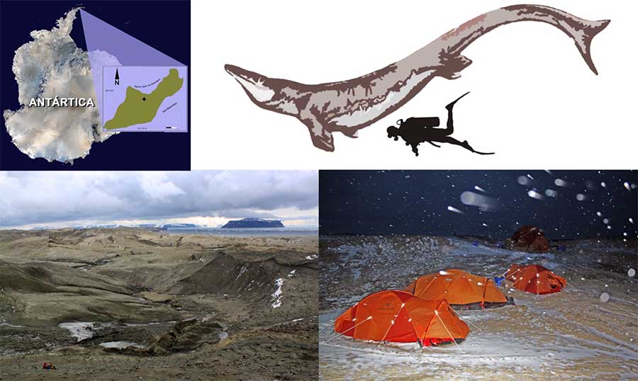 Kaikaifilu, lagarto gigante dos mares encontrado na Ilha Seymour, na Antarctica chilena