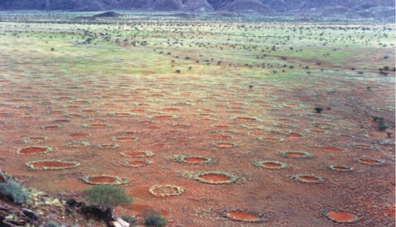 Os “círculos de fada” no deserto da Namíbia