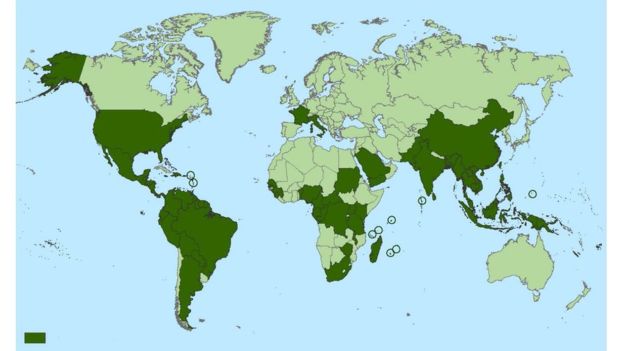 Países e territórios onde casos de chikungunya foram reportados (em verde escuro) 