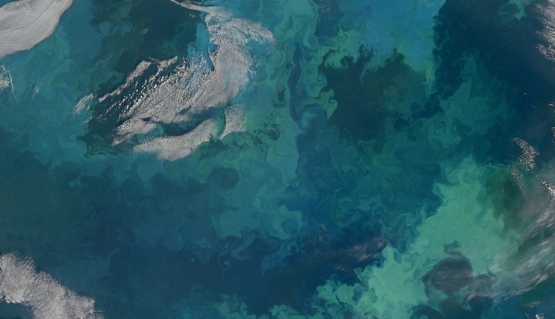 Fitoplâncton no mar de Barents captado por satélite da NASA