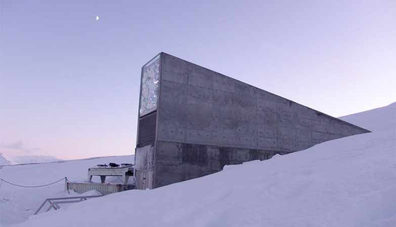 O Global Seed Vault, que preserva sementes, fica na mesma mina que o Arctic World Archive, que preserva dados