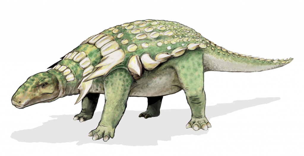 O nodossauro (Nodosaurus textilis, do latim "lagarto nódulo")
