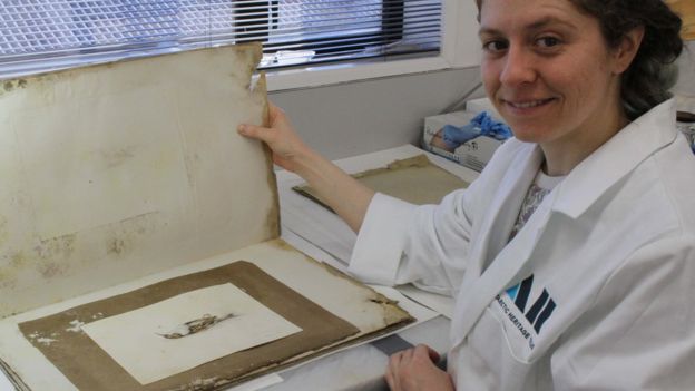  Josefin Bergmark-Jimenez mostra a pintura, que estava numa pilha de papéis coberta de mofo e fezes de pinguins 
