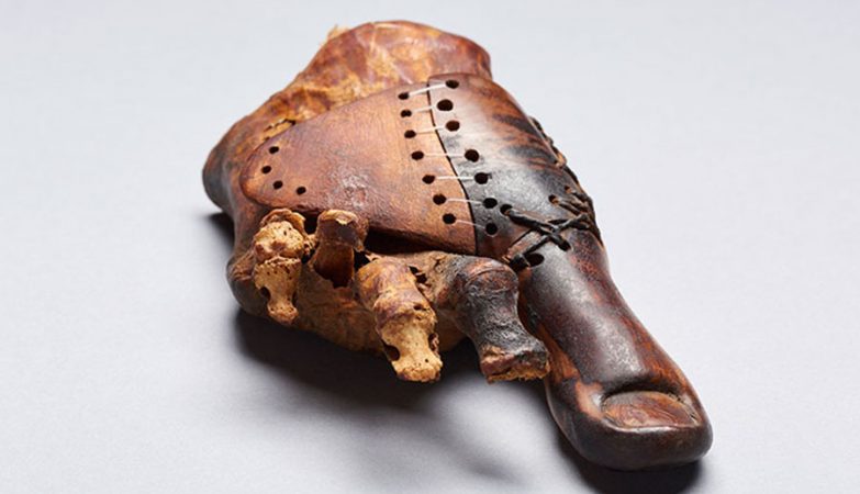Dedo de pé em madeira com 3 mil anos é uma das próteses mais antigas do mundo
