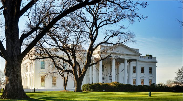 Casa Branca está infestada de ratos e de baratas