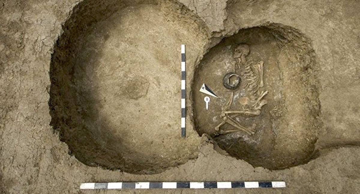 Múmias de filhote de leão são encontradas em grande descoberta no Egito