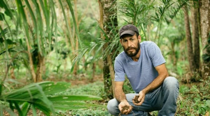 Ocupação do MST ganha prêmio por recuperação da Mata Atlântica