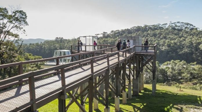 Acessível e sustentável, parque suspenso em meio a Mata Atlântica é inaugurado em São Paulo
