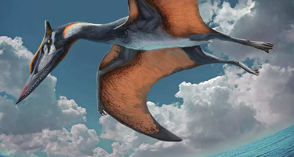 Fóssil de pterossauro do tamanho de avião é descoberto na Mongólia