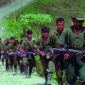 PCC está recrutando guerrilheiros das Farc