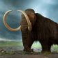Cientistas descobrem causas da extinção de mamutes