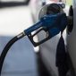 Pesquisa da Embrapa identifica microalgas que geram biocombustível