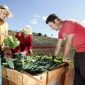 Governo brasileiro vai apoiar agricultura familiar na Colômbia