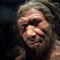 Homem de Neandertal já usava aspirina e antibióticos