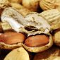 Casca de amendoim previne diabetes e obesidade