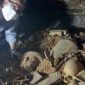 Complexo funerário cheio de múmias e estatuetas é desenterrado no Egito
