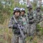 A convite do Brasil, tropas dos EUA participarão de exercício militar na Amazônia