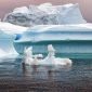 Árabes vão rebocar iceberg da Antártida para fazer chover no Oriente Médio