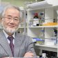 Mecanismos de autofagia celular dão Nobel da Medicina ao japonês Yoshinori Ohsumi