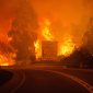Incêndio em Portugal: "Isto foi a morte que saiu à rua" - 62 pessoas morreram