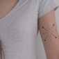 Cientistas desenvolvem tatuagens que mudam de cor para ajudar a controlar a diabetes