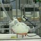 Coração artificial feito por impressora 3D funciona como um coração de verdade