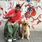 Projeto treina e encaminha gratuitamente cães de assistência à pessoas com deficiência