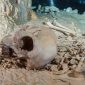 Primeiros colonos da América? Esqueleto de 13 mil anos é encontrado no México