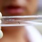 Vírus Zika pode ser a chave para curar tumores cerebrais