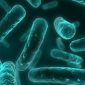 Cientistas descobrem como usar a natureza para matar superbactérias