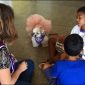 Animais atuam como terapeutas no tratamento de doenças