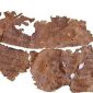 25 fragmentos dos Manuscritos do Mar Morto acabam de ser publicados