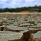 Nordeste terá pior seca dos últimos 100 anos