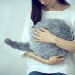 Um bizarro gato robótico sem cabeça pode ser o seu novo animal de estimação