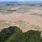 Desmatamento na Amazônia tem queda, mas ainda equivale aos territórios de Alemanha e Portugal juntos