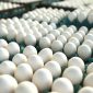 Cientistas usam ovos de galinha para "cultivar" medicamentos