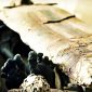 Arqueólogos revelam história de múmia misteriosa de 1.900 anos com retrato