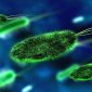 Estranhas bactérias que comem ar podem ser a chave para encontrar vida alienígena