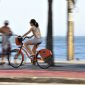Metade das vítimas de acidentes de trânsito são pedestres ou ciclistas