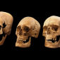 Mistério dos crânios alongados encontrados na Baviera é desvendado