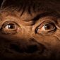 Reconstruido crânio de Homo naledi, o elo que não se encaixa na evolução humana