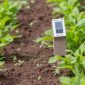 Internet das coisas torna o Brasil referência na agricultura tropical