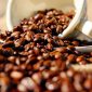 Universidade do Café na Itália dá bolsa integral a brasileiro
