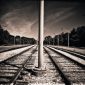 Você acha que toma boas decisões? Enigma do trem nos faz questionar